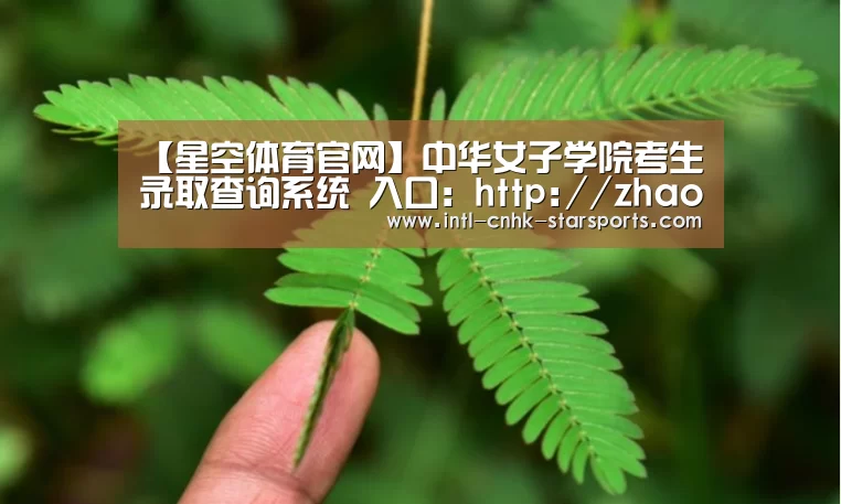 【星空体育官网】中华女子学院考生录取查询系统 入口:http://zhaosheng.cwu.edu.cn/openinfo/tolqc(图1) 星空体育网址
